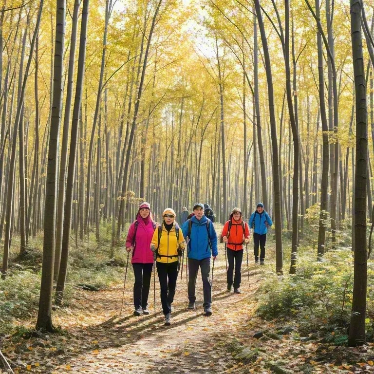 Embrace the Beauty of Nature through Autumn Hiking